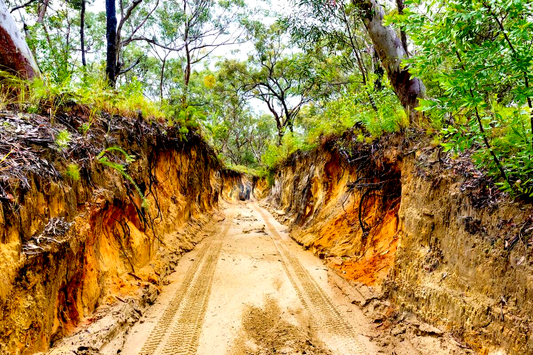 The Ultimate Off-Roading Adventure: Moreton Island, Queensland - PSICO OFFROAD